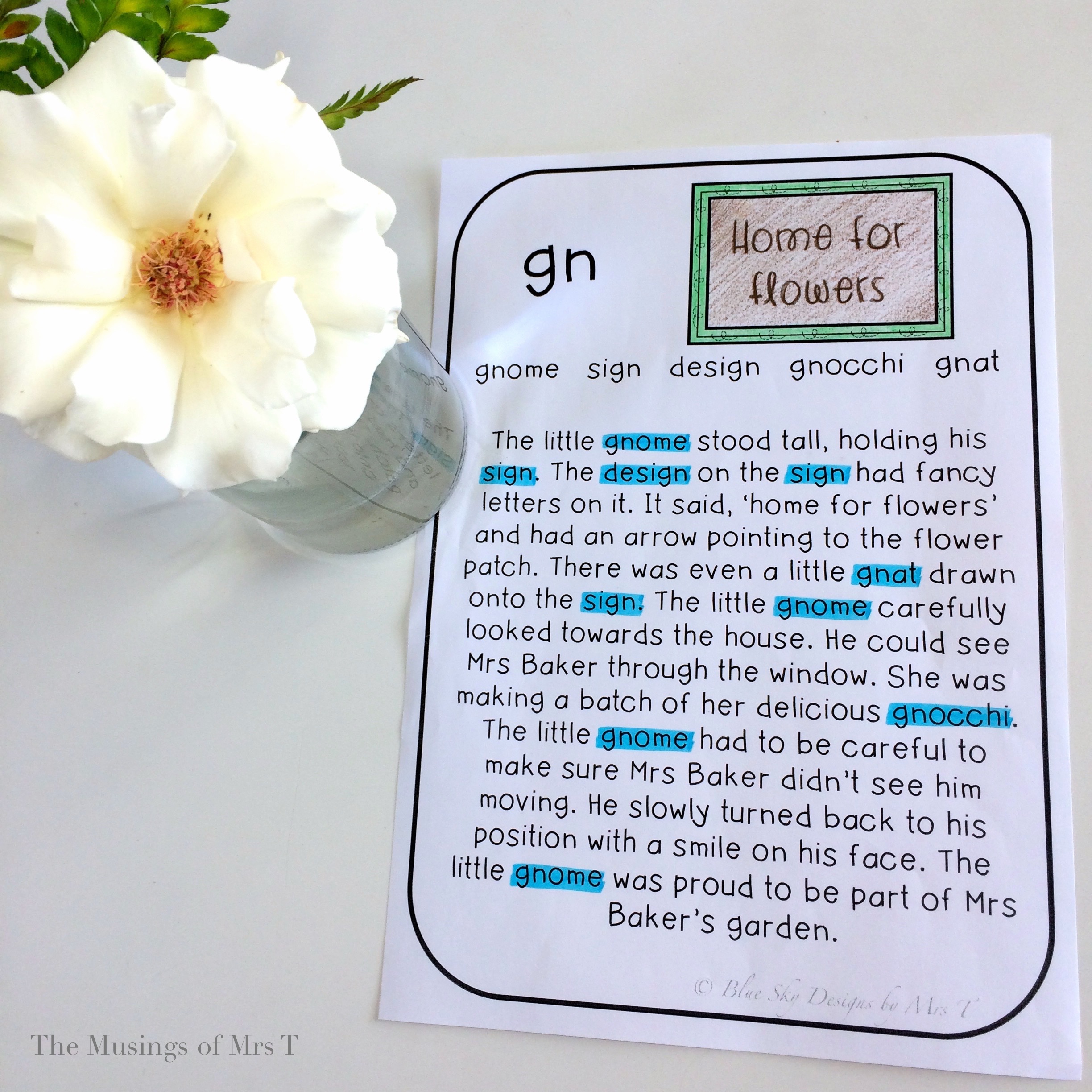 Digraph Reading Passage