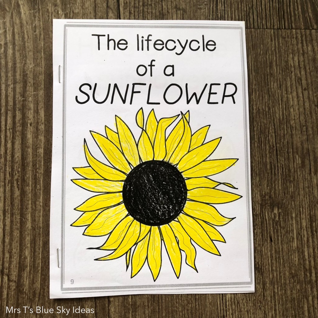 Sunflower Plant Life Cycle Booklet